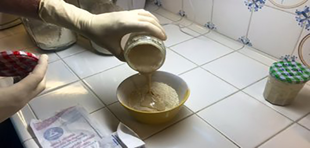 4500_year_old_yeast