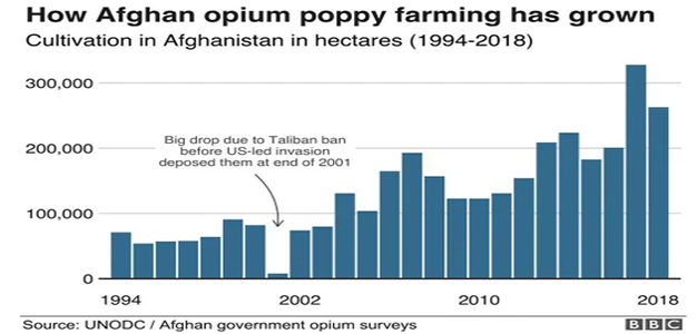 Afghan_Opium_Poppy_Farming