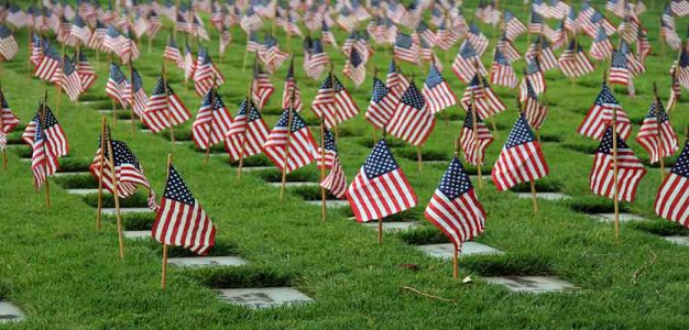 American_Flags_Memorial_Day