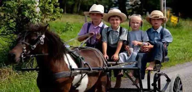 Amish_Children