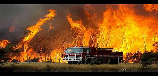 Australia_Bush_Fires