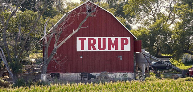 Barn_Trump_Farm