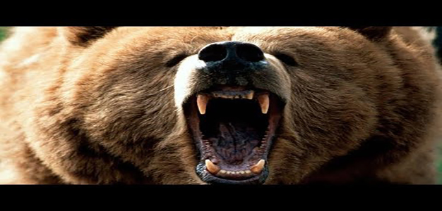 Bear_Market