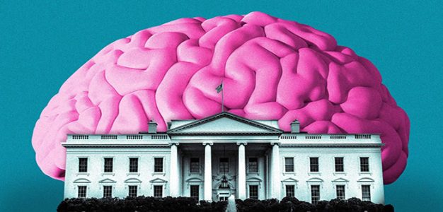 Brain_White_House_by_Shoshana_Gordon_Axios