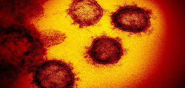 Coronavirus_626