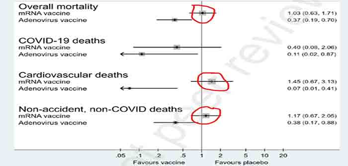 Covid_Vaccine_Heart_Inflammation