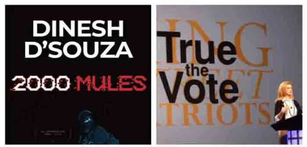 Dinesh_DSouza_True_the_Vote