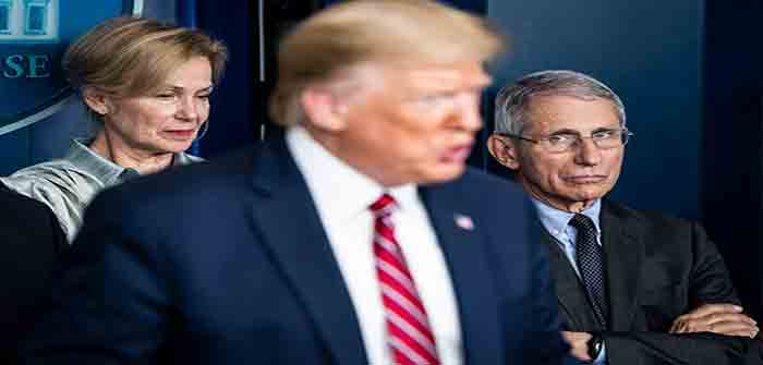 Donald_Trump_Deborah_Birx_Anthony_Fauci