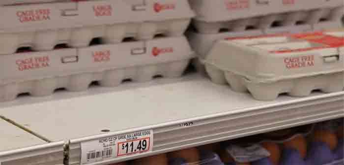 Egg_Prices_2023