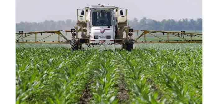 Farmer_agriculture