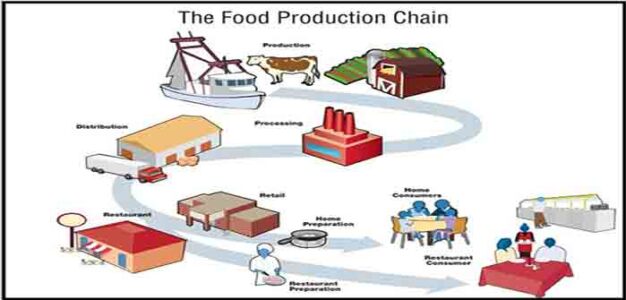 Food_Production_Chain