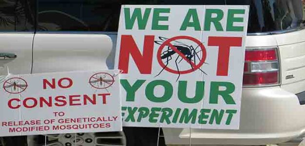 GMO_Mosquito_Protests_Florida