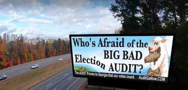 Georgia_Who's_Afraid_of_the_Big_Bad_Audit