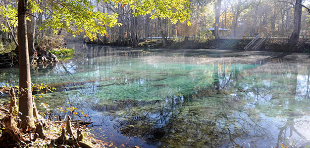 Ginnie_Springs_Florida