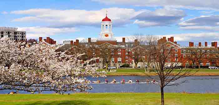 Harvard_University