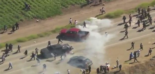 ICE_Raid_marijuana_farm_Immigrant_Raid