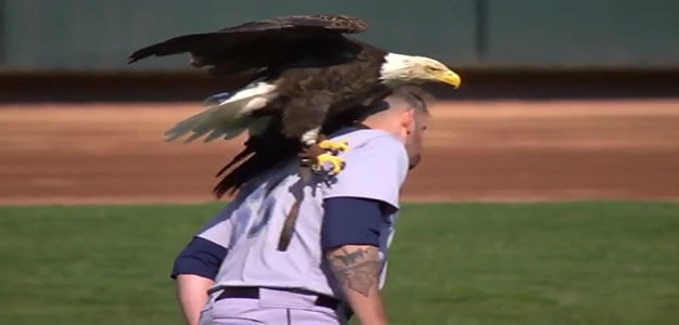 James Paxton Eagle