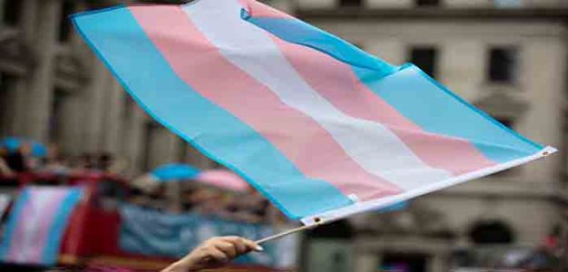 LGBTQ_Trans_flag