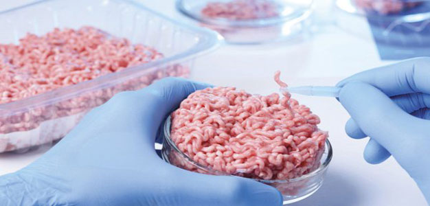 Laboratory_grown_Meat