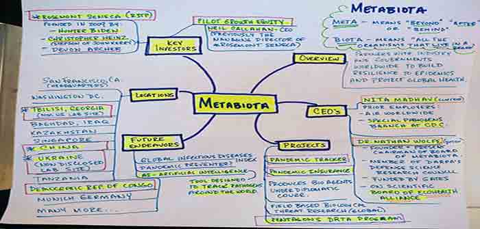 Metabiota