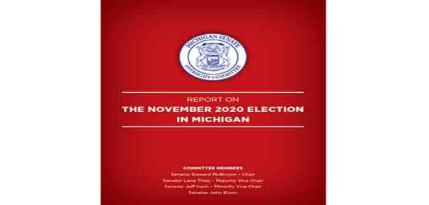 Michigan_November_2020_Report