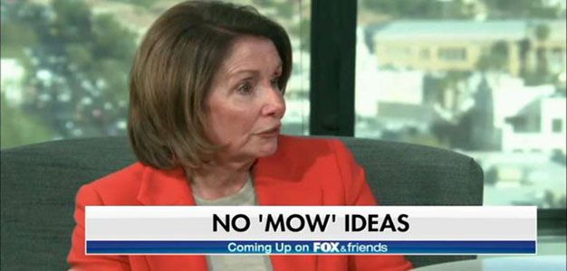 Nancy_Pelosi_No_Mow_Ideas