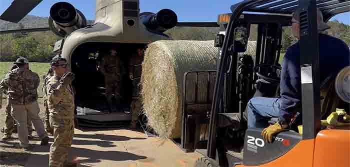 National_Guard_Loading_Hay_on_Chopper_Steve_Baker_Blaze_News