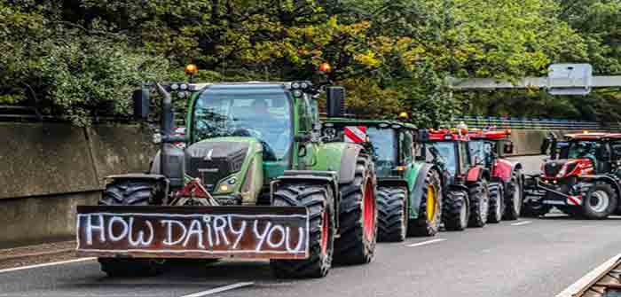 Netherlands_Farmer