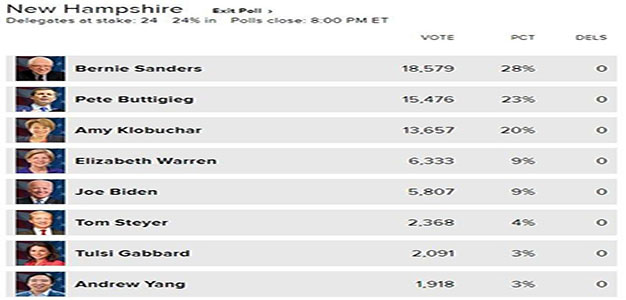 New_Hampshire_2020_Dem_Primary