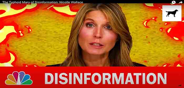 Nicole_Wallace_Disinformation