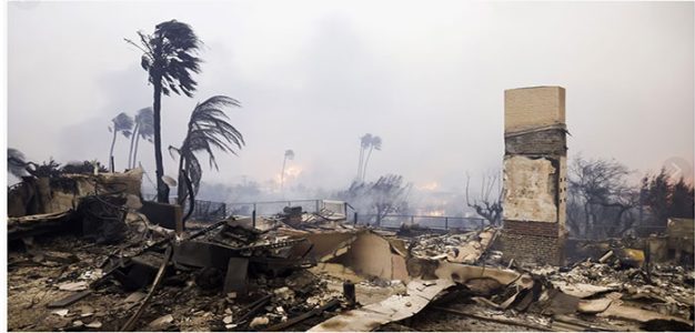 Palisades_Malibu_Wildfires