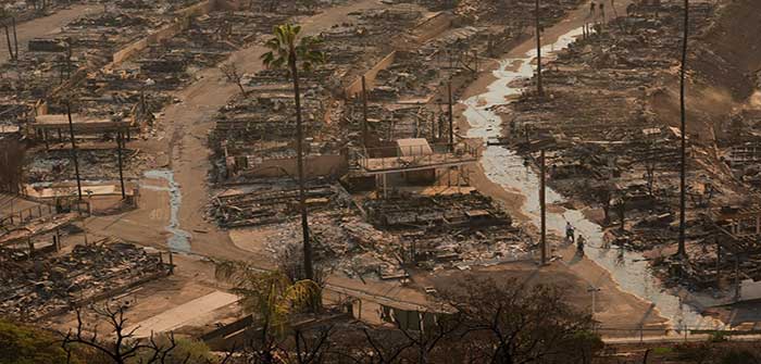 Palisades_Malibu_Wildfires