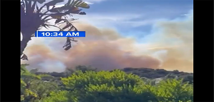 Palisades_Malibu_Wildfires_When_the_Fire_Was_Reported