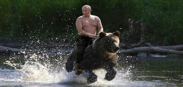 Putin_Bear