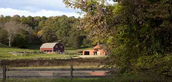 Rural_America_Farm