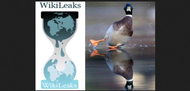 screenshot_wikileaks_ducks_polling
