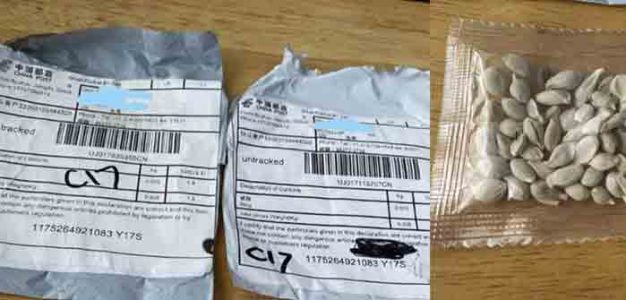 Seed_Packages_from_China