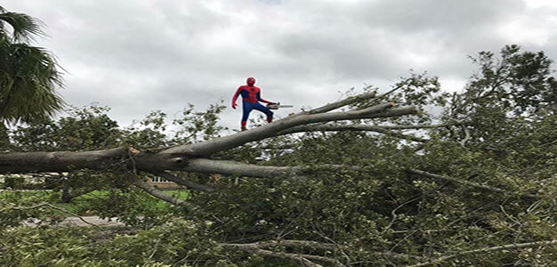 Spiderman_Hurricane_Irma