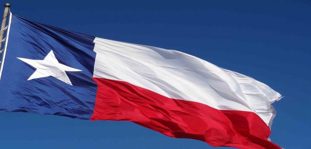 Texas State flag