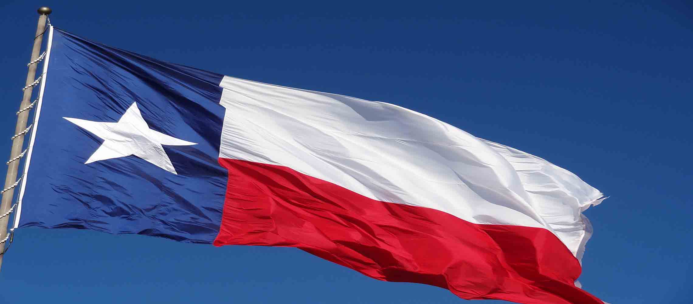 Texas State flag