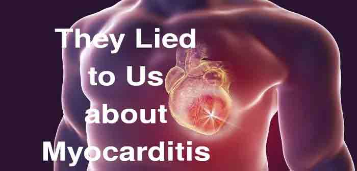 They_Lied_to_Us_About_Myocarditis_DailyClout