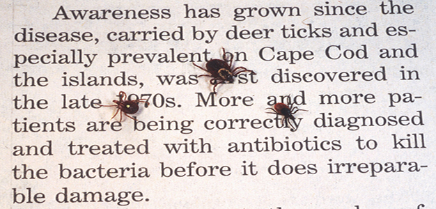Ticks_Lyme_Biological_Weaponry_GettyImages