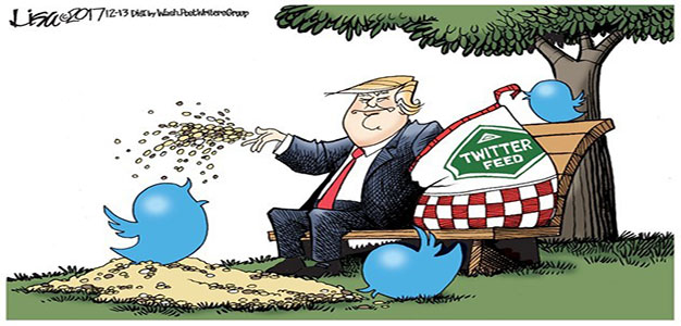 Trump_Twitter_Feed_Lisa