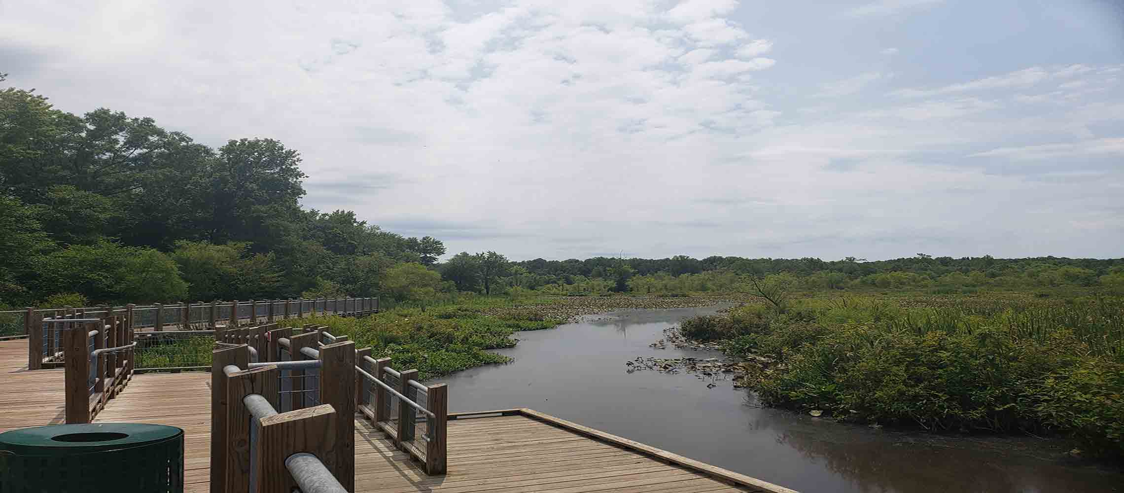 Tuckahoe_Creek_Wildlife_Area_Owl_WCV_Release