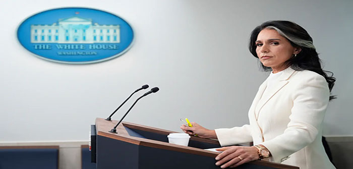 Tulsi Gabbard AP