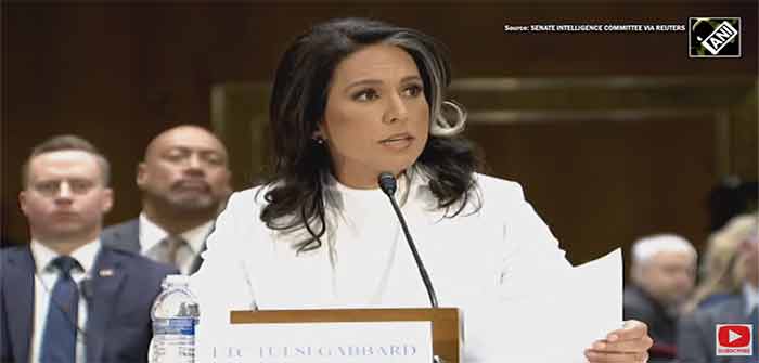 Tulsi_Gabbard_Senate_Intelligence_Committee_Nomination_Hearing_Director_of_National_Institute