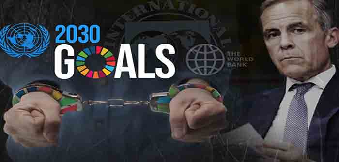 UN_2030_Goals_Sustainable_Development_Illustration_by_Unlimited_Hangout
