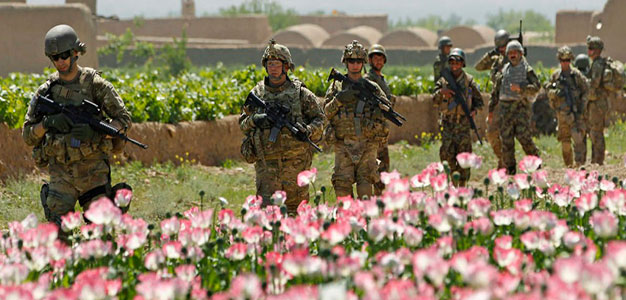 US_Troops_Walk_Past_Poppy_Field