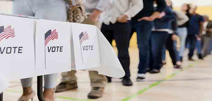 Vote_Voters_Voting