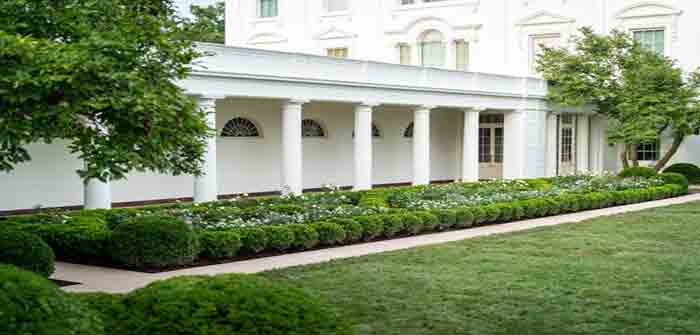 White_House_Rose_Garden